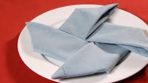 folded napkin 3